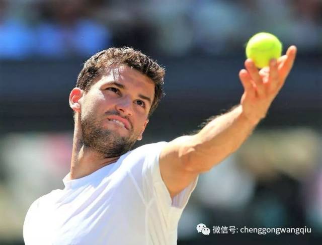 立争冠阵容 立争冠阵容